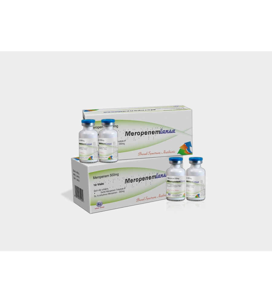 Meropenem 1g powder for solution for injection
